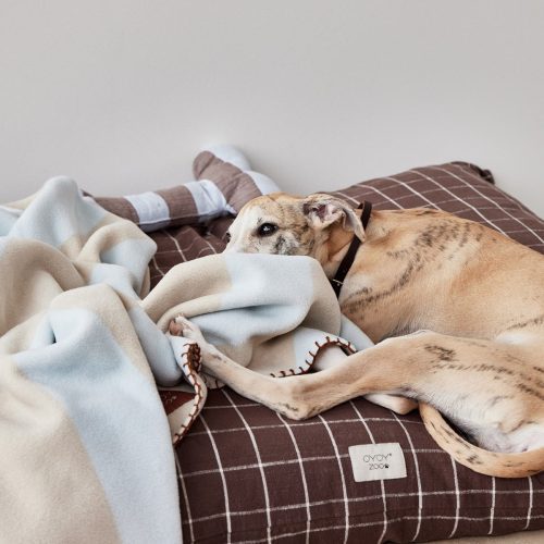 Kaya Dog Blanket Medium Sleep Z60035 2 1800x1200 1f49d081 92e1 466f b33e c69ceb3a66a8