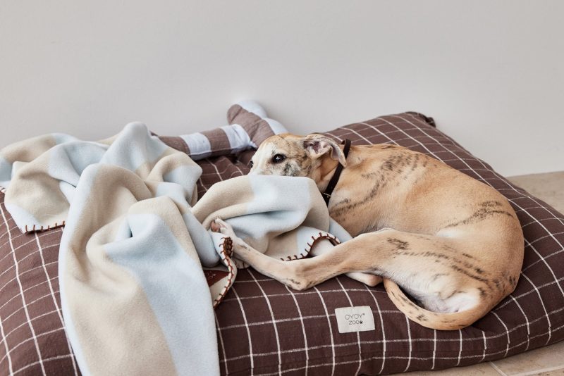 Kaya Dog Blanket Medium Sleep Z60035 2 1800x1200 1f49d081 92e1 466f b33e c69ceb3a66a8