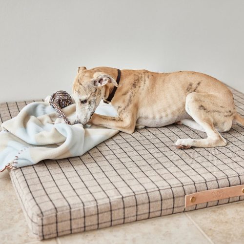 Kaya Dog Blanket Medium Sleep Z60035 5 1800x1200 223189eb fcce 4e15 8c13 2eb2372cddbc