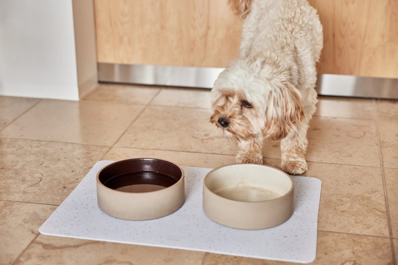 Koko Dog Bowl Mat Dog Dinner Z60005 1 1800x1200 a8f19a56 83c6 4cc1 96bc e033afe256b5