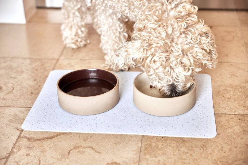 Koko Dog Bowl Mat Dog Dinner Z60005 2 1800x1200 872e32cd ad88 4109 8600 e9d2417d142d