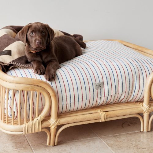 Kyoto Dog Cushion Large Sleep Z60060 4 1800x1200 a2bfff8e 302c 4635 a55b aede2eb31aea