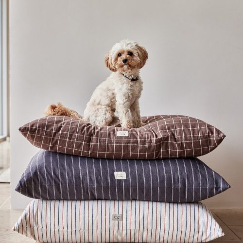 Kyoto Dog Cushion Small Sleep Z60055 5 1200x1800 cced49f7 bae8 4a24 b4c8 8527aed40958