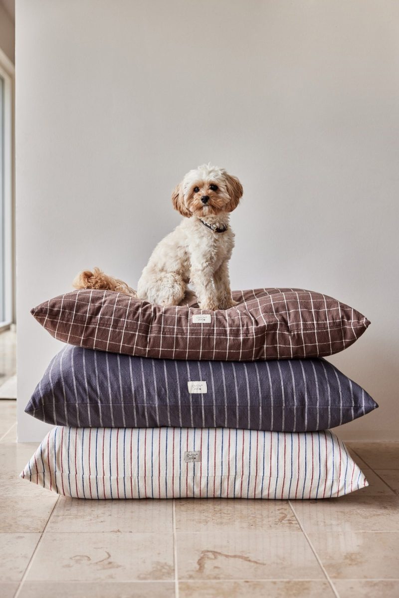 Kyoto Dog Cushion Small Sleep Z60055 5 1200x1800 cced49f7 bae8 4a24 b4c8 8527aed40958