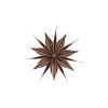 Toppu Christmas Star in Brown/Black 1