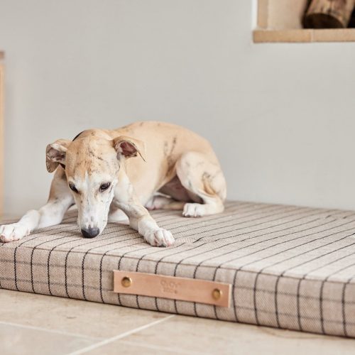 Milo Grid Dog Cushion Large Sleep Z60042 6 1800x1200 559d1652 307c 4a53 9314 ae0dea81efc1