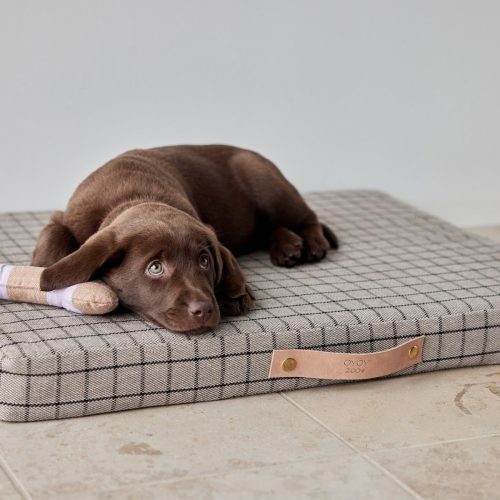 Milo Grid Dog Cushion Medium Sleep Z60041 6 1800x1200 f2986de8 fd09 4d56 8869 c1c178505a2c