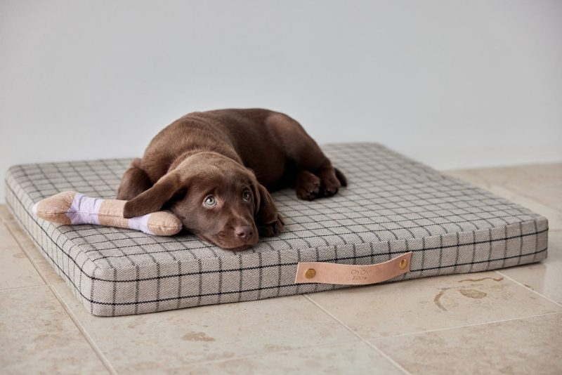 Milo Grid Dog Cushion Medium Sleep Z60041 6 1800x1200 f2986de8 fd09 4d56 8869 c1c178505a2c