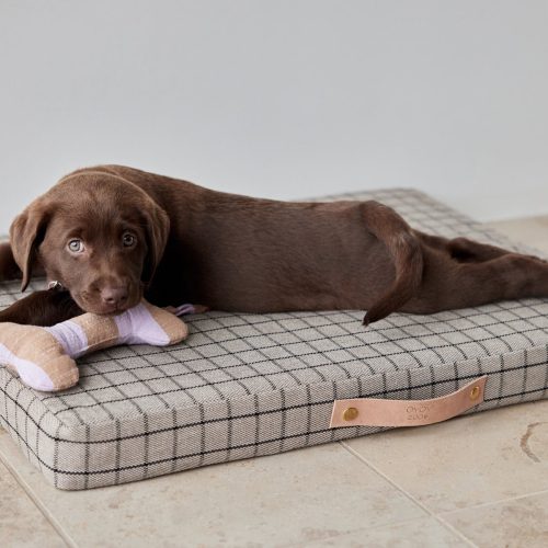 Milo Grid Dog Cushion Medium Sleep Z60041 7 1800x1200 9b112005 b838 4c46 ae25 be18cce8ab37