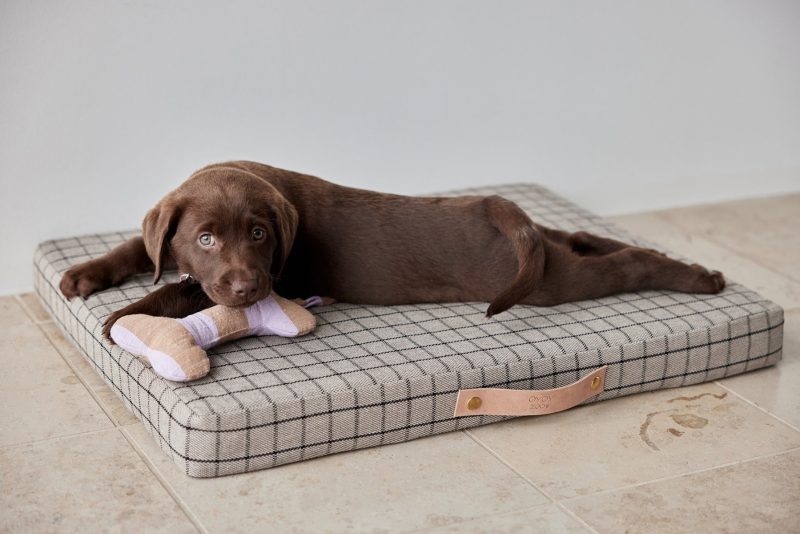 Milo Grid Dog Cushion Medium Sleep Z60041 7 1800x1200 9b112005 b838 4c46 ae25 be18cce8ab37